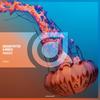 Paradise (Extended Mix) - Gregor Potter&Brieuc