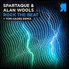 Simbioz - Spartaque&Alan Wools