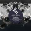 Third Eye (Original Mix) - Pulse Plant