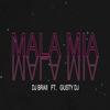 Mala Mia(feat. Gusty Dj) - DJ Braii&Gusty dj