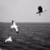 In No Time (feat. Modernotaku) - Gazi&modernotaku