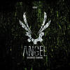 Can You See Me - Angel