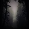 What Still Remains (其他) - Azaleh