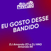 EU GOSTO DESSE BANDIDO (Explicit) - DJ AMANDA ZO&Club Pirituba&DJ Hng