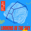 Looking In The Sky (Radio Edit) - Emanuel Satie&Maga&Tim Engelhardt&Sean Doron&Yulia Niko&Paul Brenning