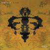 Unexpected Sequences - SALL&Stefano Pelle