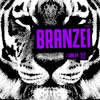 I Can (Original Mix) - Branzei