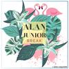 Break (Original Mix) - Alan Junior