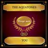 You - The Aquatones
