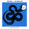 What You Give - Web Web&Joy Denalane