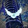 With the X-Gang (Explicit) - Xotic