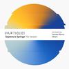 Introversion (Idham Remix) - Sapiens&Springa