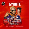 Gyrate (Explicit) - Sheun Natural&Terry Apala