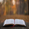 Bíblia em Áudio: Livro de João,  Cap. 5 - Biblia Falada