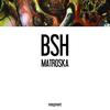 Matrioska - BSH