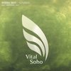 Susanoo (Original Mix) - Robbie Seed