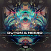 Accepting Reality - Duton&NESKO