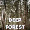 Deep Forest - Khan Saab