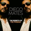 The Jungle Tribal Beat - Diego Mates