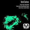 Electric Voice (Original Mix) - David Caetano