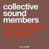 I Would Like To Know (Original Mix) - Collective Sound Members