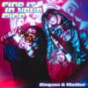 Find It In Your Mind - Zingara&Steller