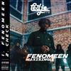 Check (Explicit) - Cedje