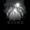 Blind (feat. Falcom) - Falcom&DeadlyPickle67