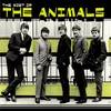 House of the Rising Sun - The Animals