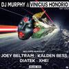Out Cold (Original Mix) - DJ Murphy&Vinicius Honorio