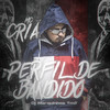 Perfil de Bandido - MC Cria&Dj Marquinhos Tm