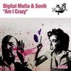 Am I Crazy (Original Mix) - Digital Mafia&Sonik