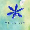 Azulillo - Luis Chávez Chávez&Henry Wilson&Ivan Runjevac&Luis Barbiero&Gonzalo Diaz&Fernando Silva