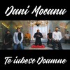 Te Iubesc Doamne - Dani Mocanu