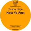 How Ya Feel (Original Mix) - Tommy Largo