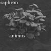 Animus - Saphron