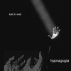 lost in void - Hypnagogia