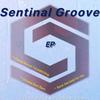 Rock the beat for me. - Sentinel Groove