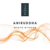 Spirits In Fusion (Original Mix) - Aniruddha