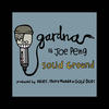 Solid Ground (Stivs & Kelvin 373 Remix) - Gardna&Joe Peng&Stivs&Kelvin 373