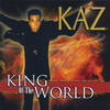 Don't Turn Out The Light - KAZ
