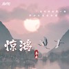 惊鸿 (伴奏) - 秦桑