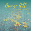 48 ways of BBQ - Orange Hill