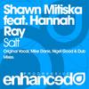 Salt (Nigel Good Remix) - Shawn Mitiska&Hannah Ray&Nigel Good