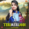 Teri Meri Jodi - Renuka Panwar&Sahil Sharma