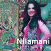 Nilamani (Sambalpuri Blues) - Sona Mohapatra&Ram Sampath