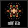 The Road To Freedom (Original Mix) - Synthetic Fantasy