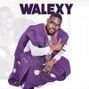 Ileke(feat. Skales) - Walexy&Skales