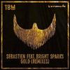 Gold (Wild Cards Remix) - Sebastien&Wild Cards