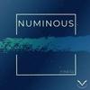 Numinous - finesu&Nathan Andrew Crook